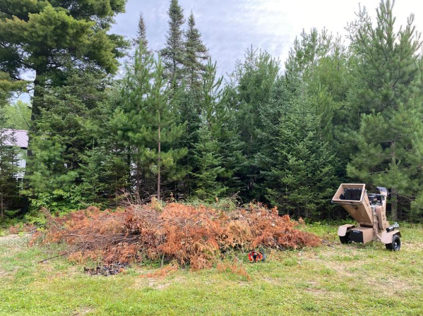 Pile of brush and branches in a grassy clearing, with a wood chipper on the right and dense pine trees in back.