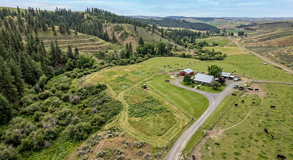 A rural home surrounded by well maintained pasture