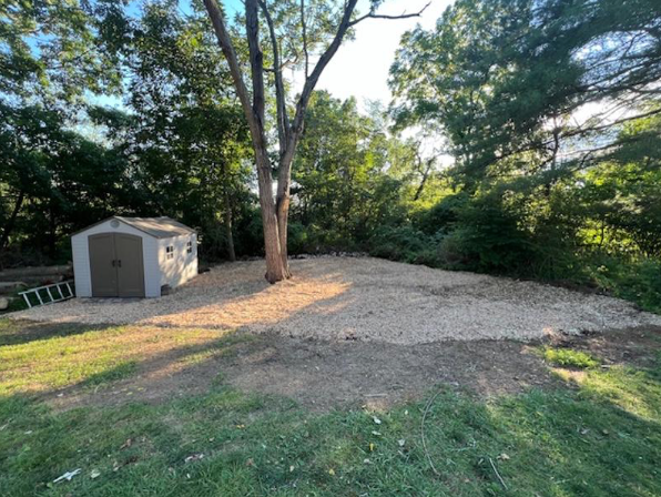 Wood chips in a backyard clearing with a beige shed, large tree in center, and dense green woods in warm sunlight.