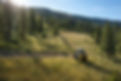 ChatGPT Image Mar 12, 2026 at 08_08_06 PM Large.jpeg