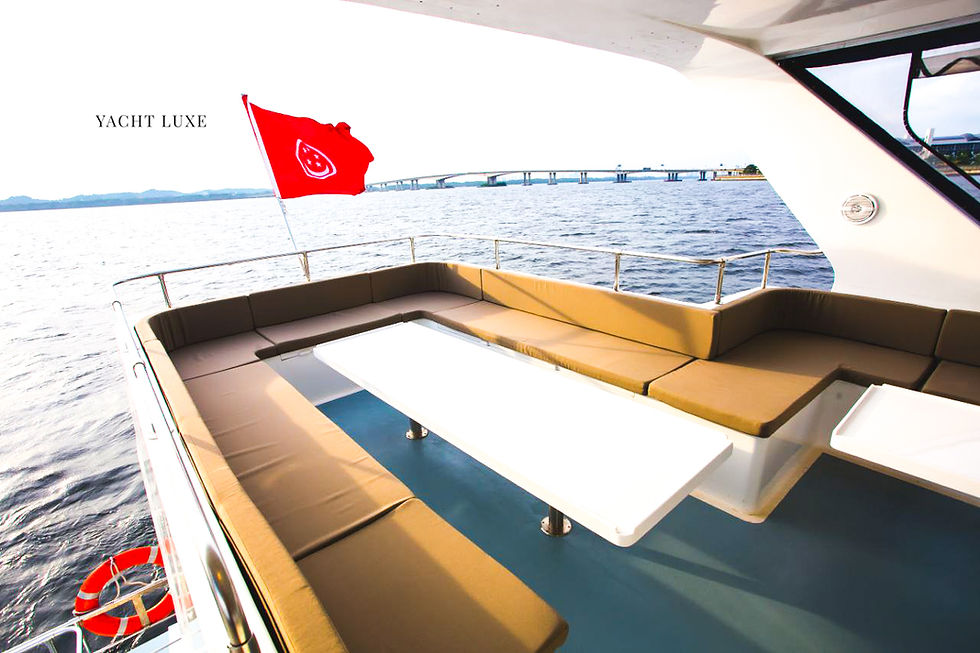 Spacious Flybridge