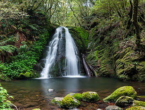 _D852559-Pano-Cascades Walk.jpg