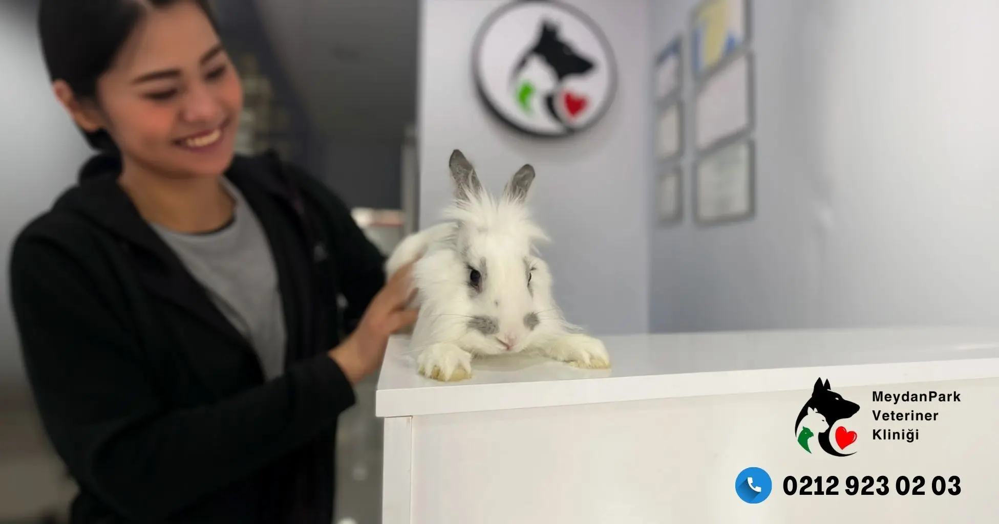 Veteriner Kliniği Tavşan Tedavisi