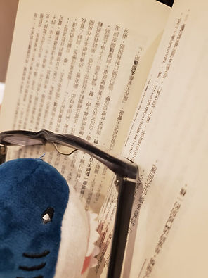 佘伊蕊_大中二_優異獎_相片一.jpg