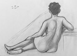Observational Figure Study