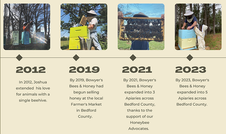 Beige Modern Timeline Brainstorming.png