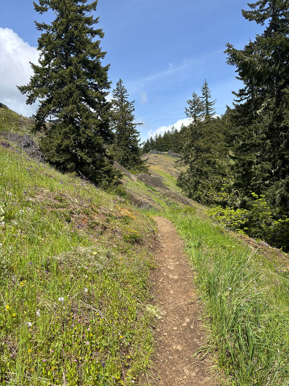 Going where the trail leads...