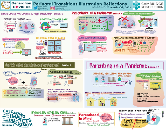 Perenatal Workshop Comprehensive Visuals_cw-fin.png
