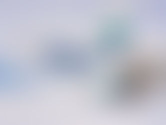 Alaska Air Group's Q4 2024 Results: Resilience and Strategic Growth