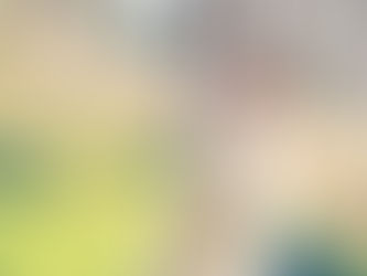 Wurfplanung 2026: Wurf B.