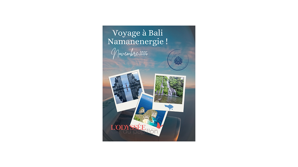Voyage à Bali du 10 Novembre 2026 au 24 Novembre 2026.