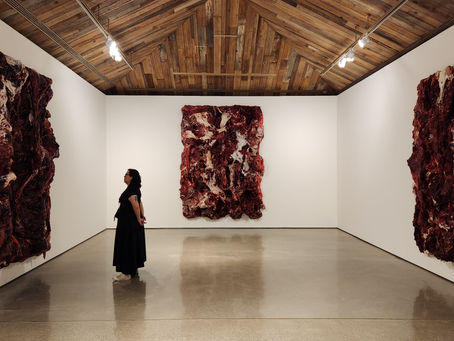 Anish Kapoor - Inflamação