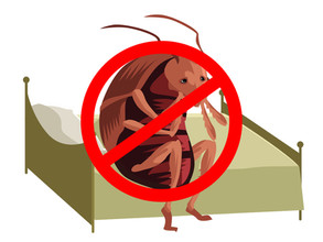 Get Rid of Bed Bugs