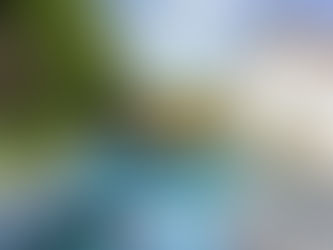 A serene backyard pool with blue tiles, surrounded by lush greenery and potted plants. A white wall and hedges create a tranquil setting.