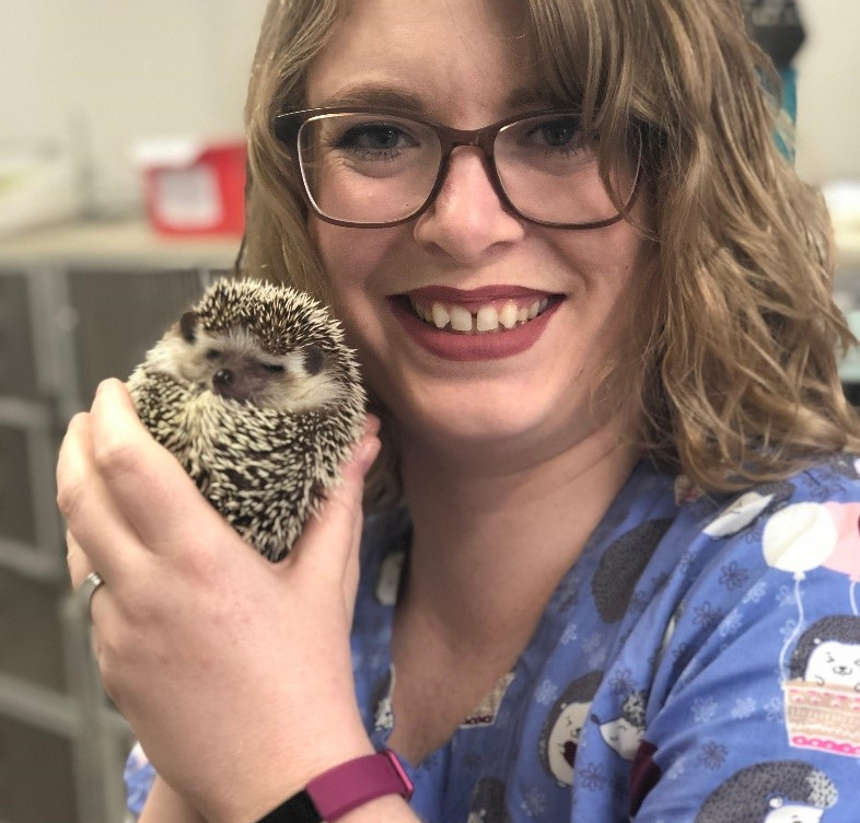 hedgehog vet near me