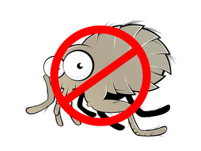 Get Rid of Fleas