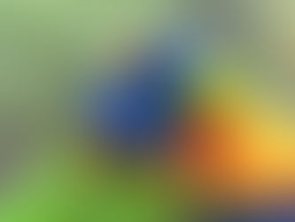Two vibrant rainbow lorikeets, with blue, green, yellow, and red feathers, nuzzle affectionately against a soft, blurred background.