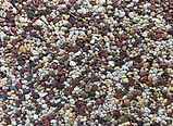Autumn-Hues-400x300.jpg