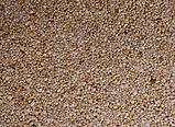 6mm-All-Gold-AQ-1-400x300.jpg