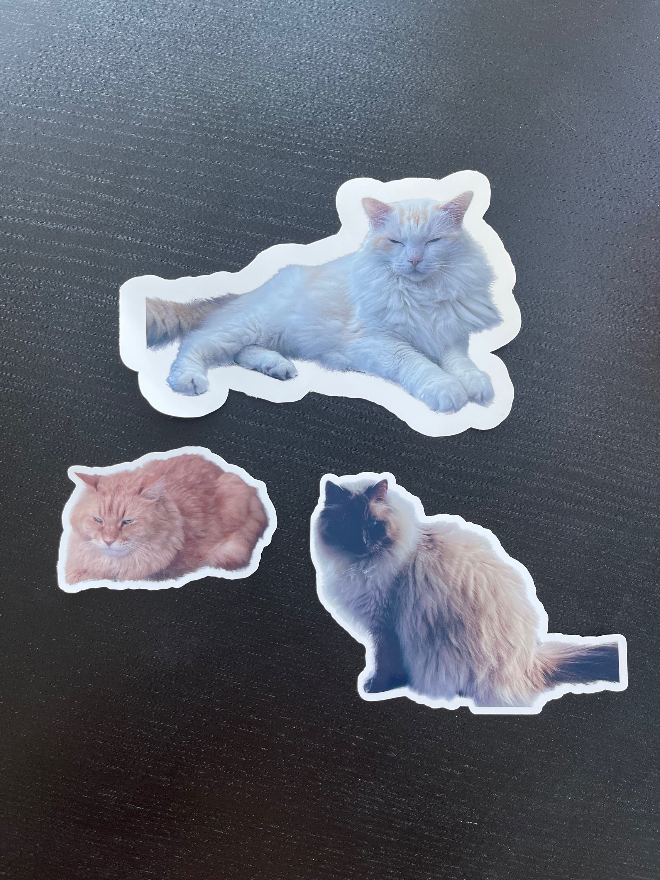 Custom Pet Photo Stickers