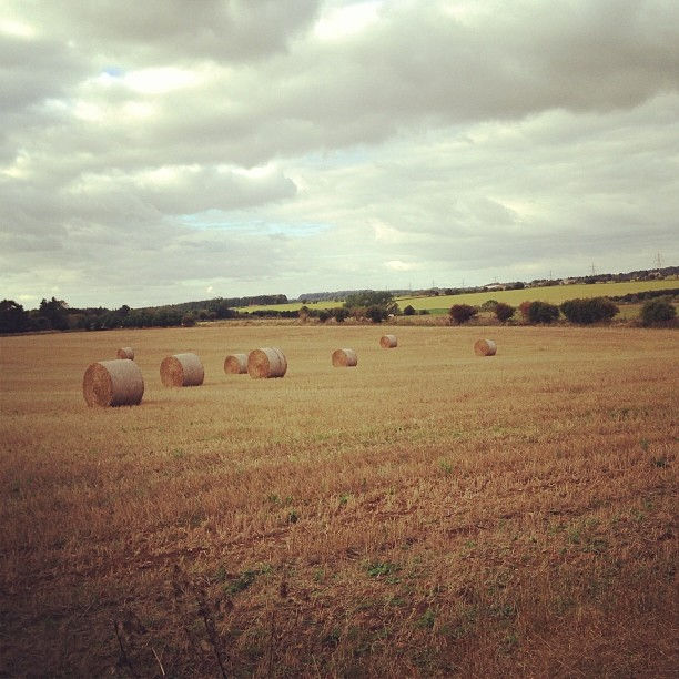 Instagram - Untitled