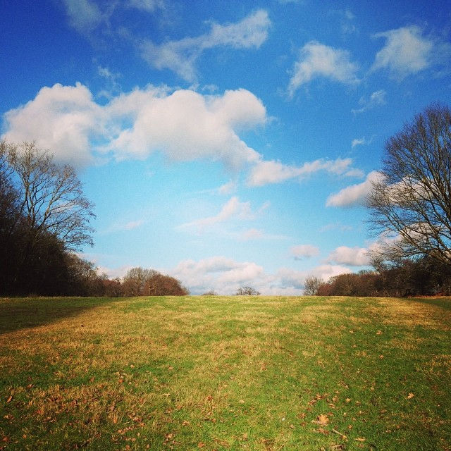 Instagram - Untitled