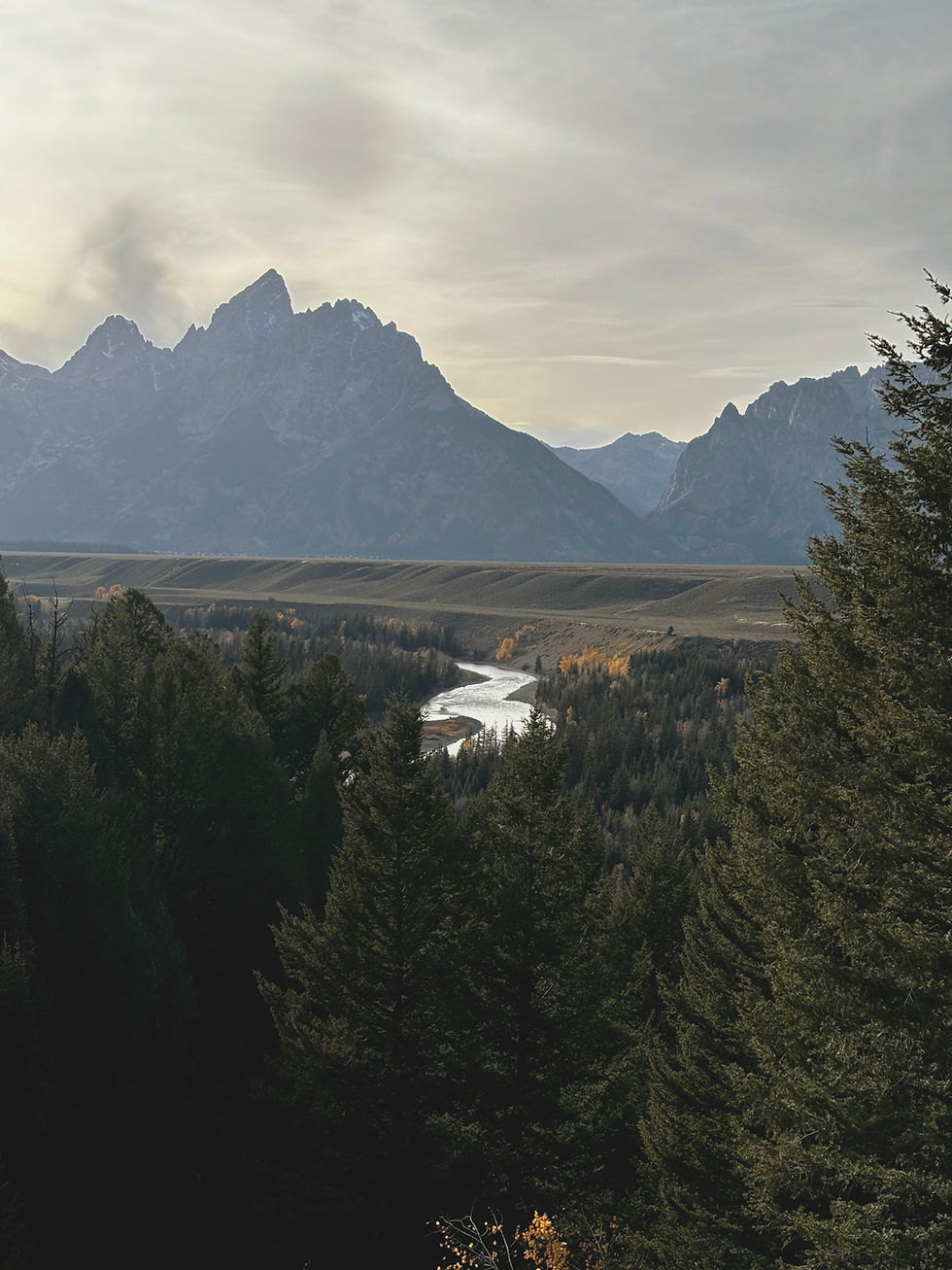 Embracing Renewal: Letting God Rewrite Your Story of Starting Over