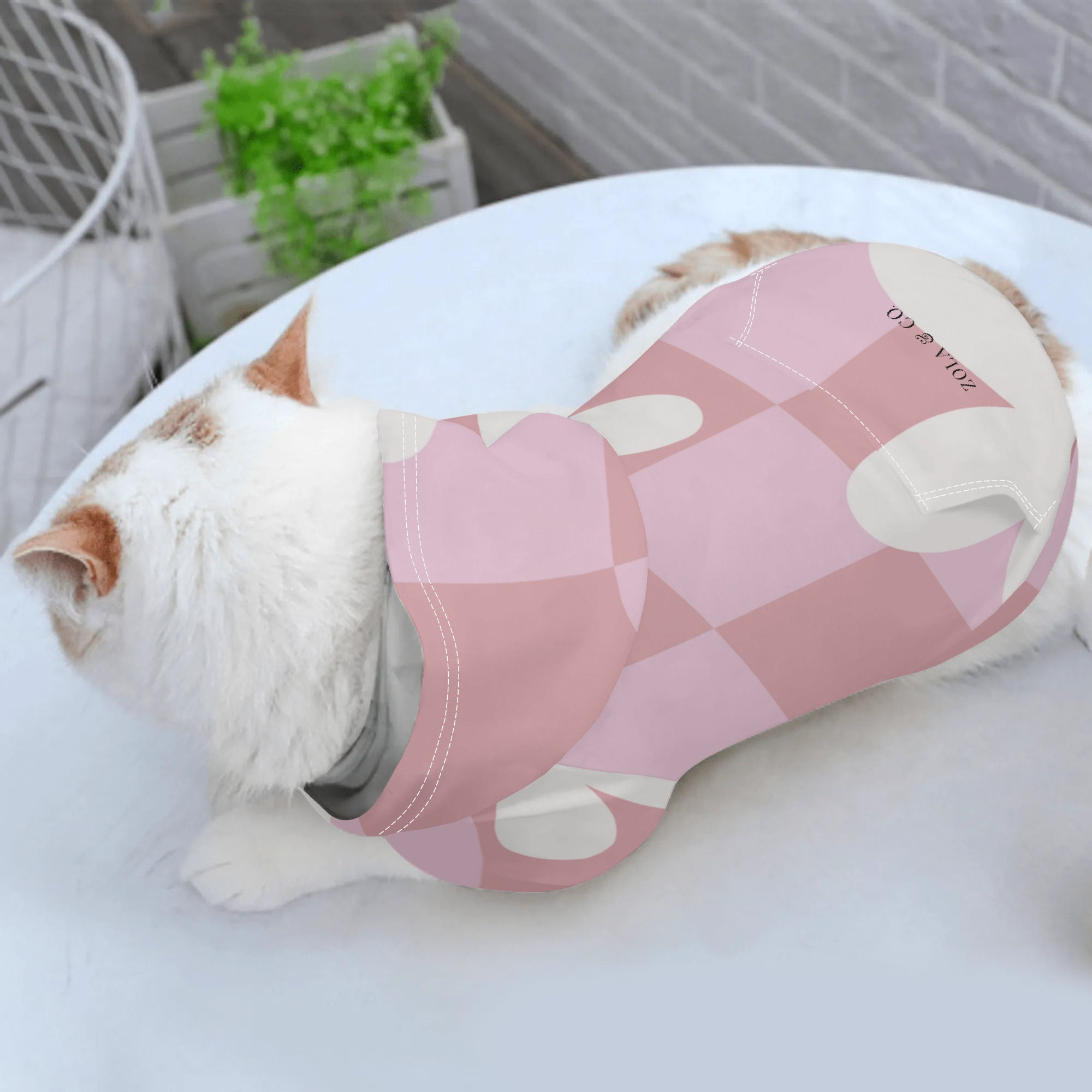 Pet Pullover Hoodie