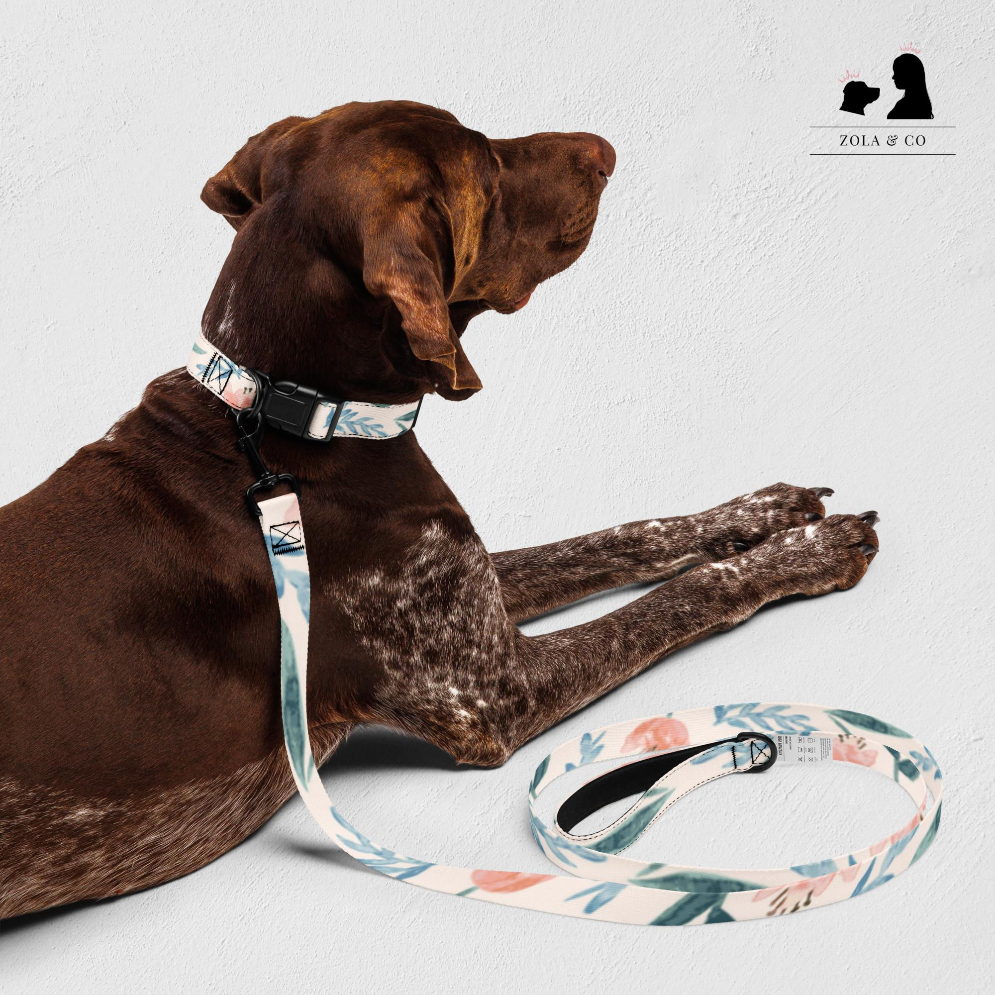 Floral Pet collar & leash | Zola and Co.