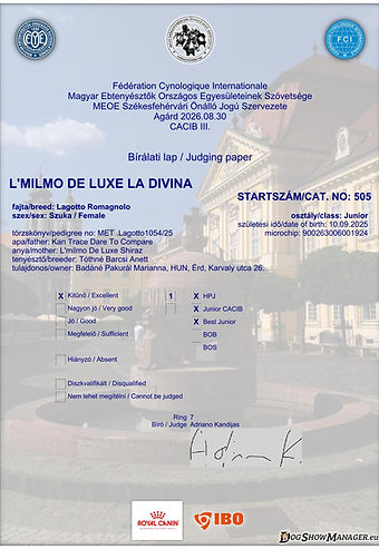 JUDGING_PAPER_e092e382-83a5-4808-8813-e318e7c6170e 8 hó 30-1.jpg