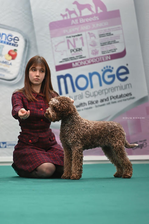 La Vie En Rose delle Balze