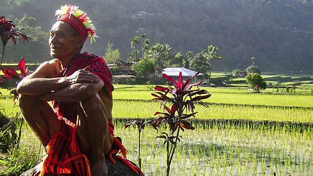 Des voyages uniques et sur mesure à créer avec l'agence Philippines-Tropicales avec une base satellite à Banaue Ifugao