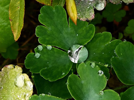 𝑳𝒂 𝑩𝒊𝒐𝒅𝒂𝒏𝒛𝒂: 𝑬𝒔𝒕í𝒎𝒖𝒍𝒐 𝒅𝒆 𝒍𝒂 𝑹𝒆𝒏𝒐𝒗𝒂𝒄𝒊ó𝒏 𝑶𝒓𝒈á𝒏𝒊𝒄𝒂💫💫💫