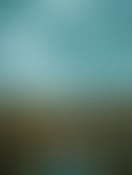 La Roadmap della mia trasformazione e il metodo Mindful.