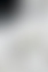 Organizzare e pianificare, passione o dote?