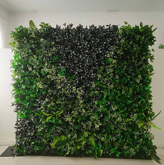 Photo Jun 21 2023, 8 37 49 PM (8).jpg