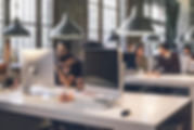 Startup Development Team