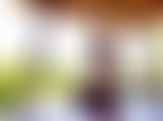 Embark on a Transformative Journey: 'An Embodiment Journey into the Eight Limbs of Yoga'