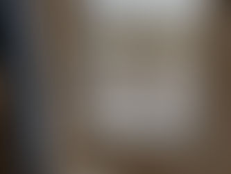 Window mechanisms repairs