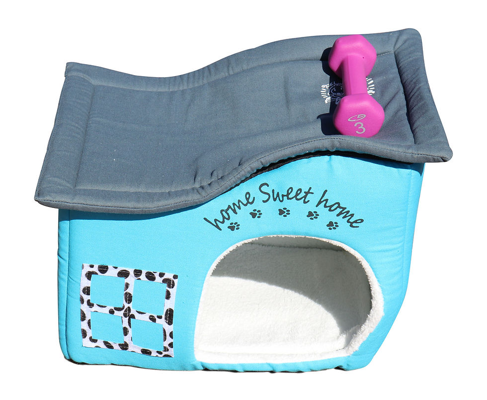 Thumbnail: Home Sweet Home Indoor Cat House.  An Extra Sturdy Covered Cat Bed