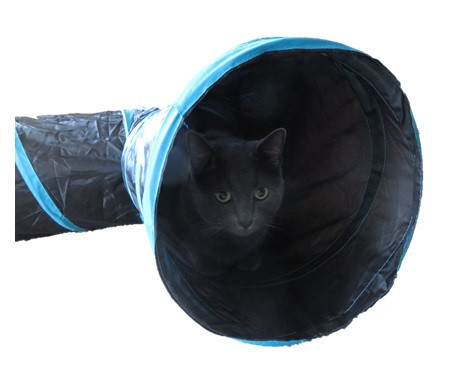 extra large cat tunnel