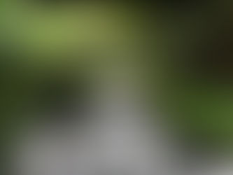 Costa Rica: La Fortuna and Arenal