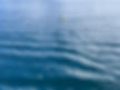 IMG_3211.jpeg