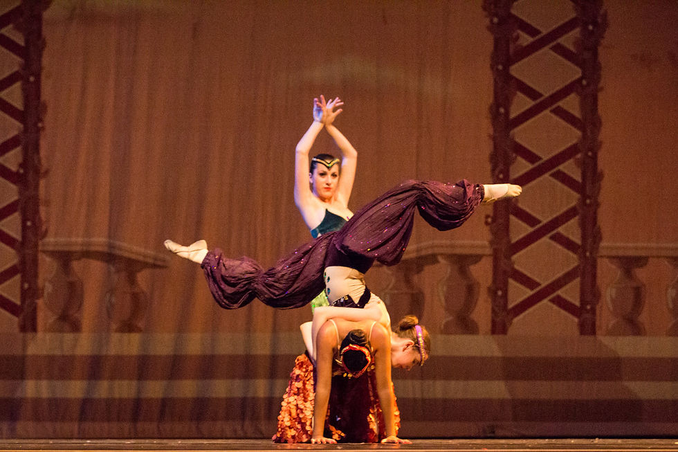 NUTCRACKER 2015-1048