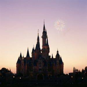 Disney Family Dream Vacation