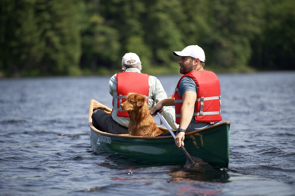 2 Kanufahrer und ein Hund auf dem See im Bigwind Lake Provincial Park in der Parry Sound-Muskoka-Region