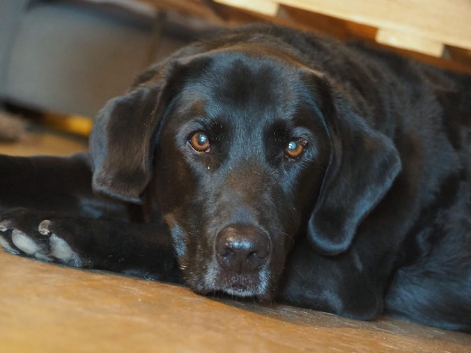 Brinkley Website Picture_edited.jpg