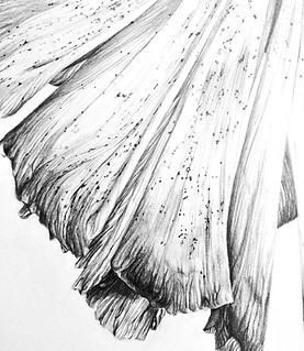 Detail 1_edited.jpg