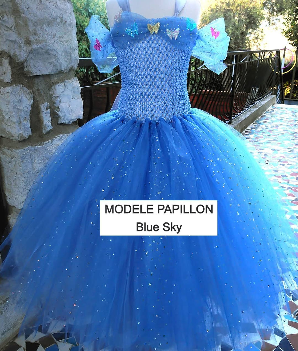 Miniature : ROBES DE LUXE A THEME