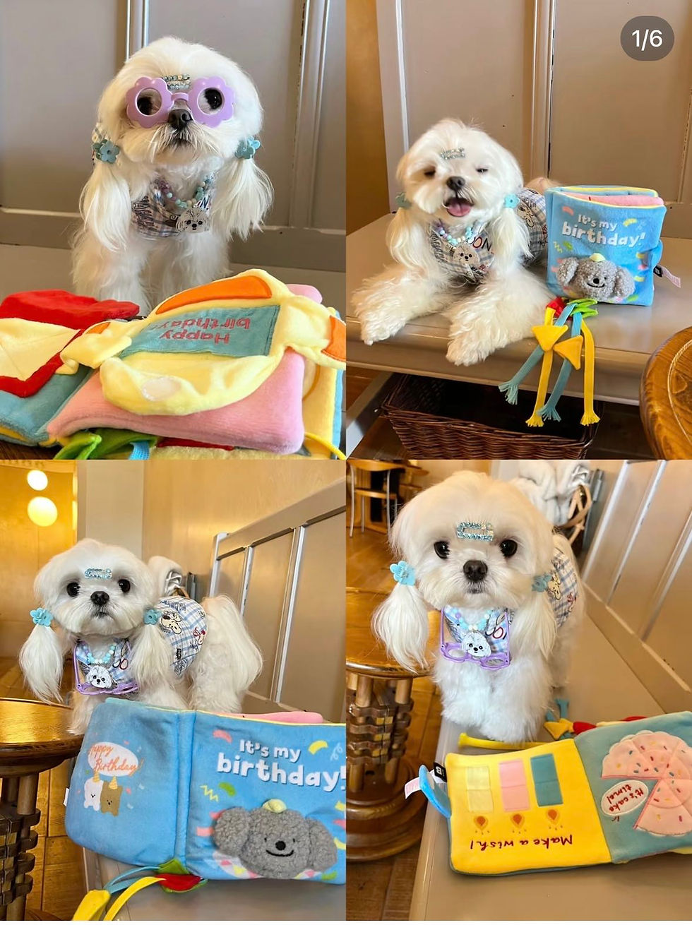 Thumbnail: Pet Snuffle Book